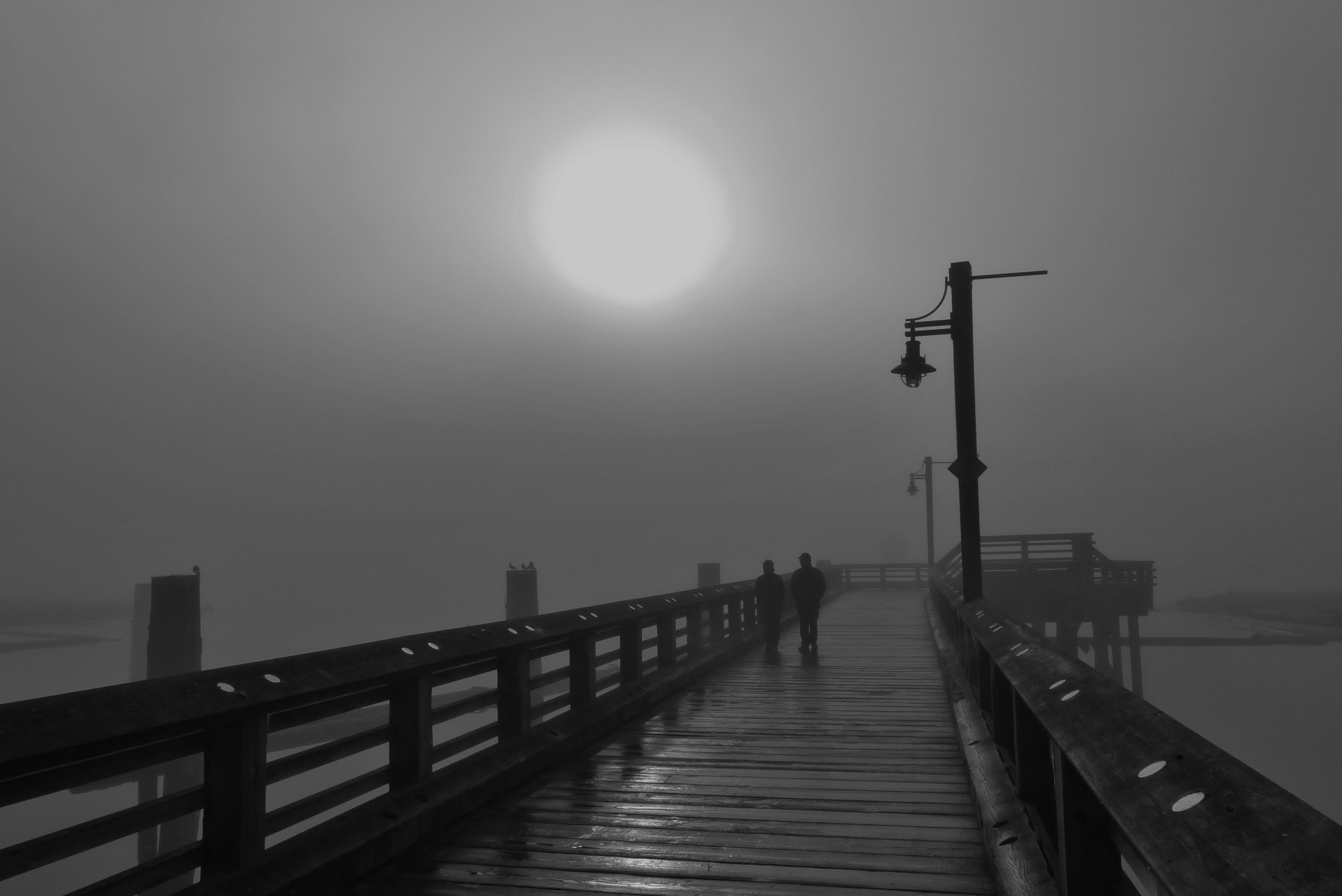 a-foggy-morning-shutterbug